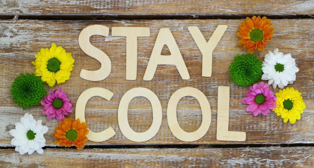 Stay cool in summer